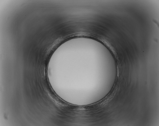 X0000100380253200806060833