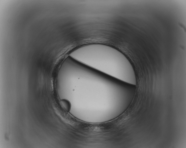 X0000100380254200806060833