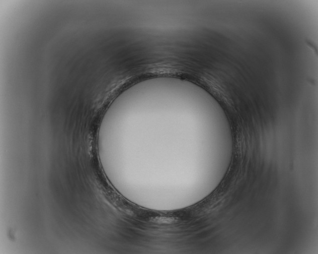 X0000100380255200806060833