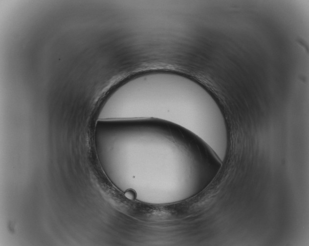 X0000100380256200806060833