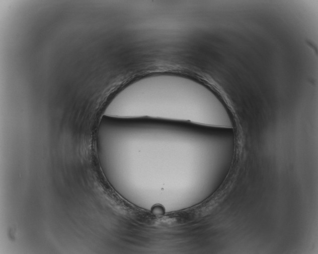 X0000100380257200806060833