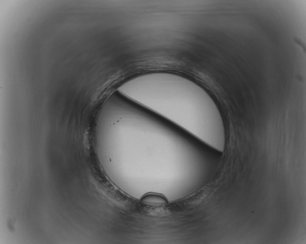 X0000100380258200806060833