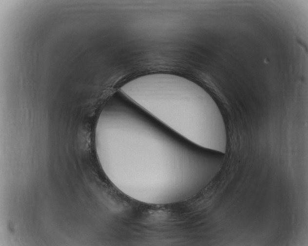 X0000100380259200806060833