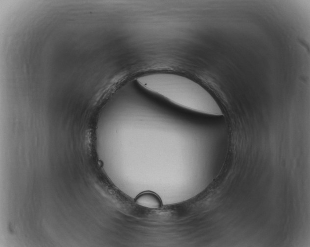 X0000100380260200806060833