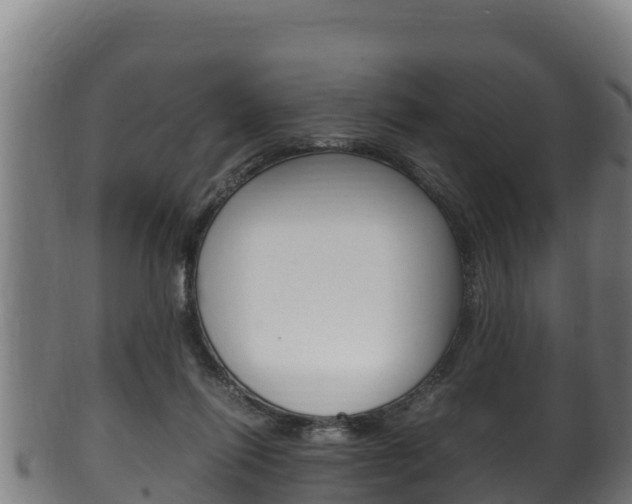 X0000100380262200806060833