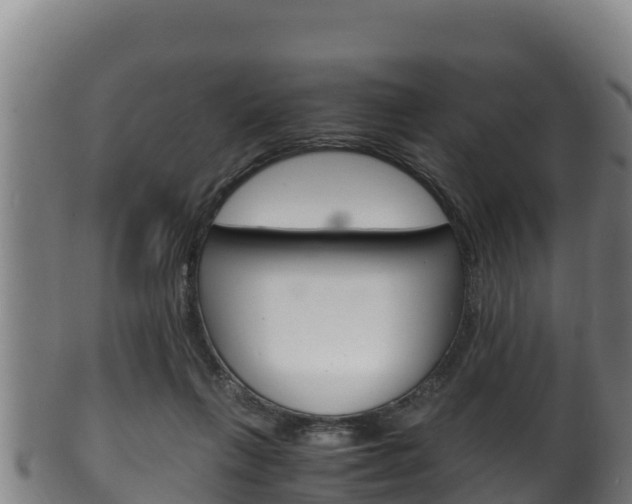 X0000100380263200806060833