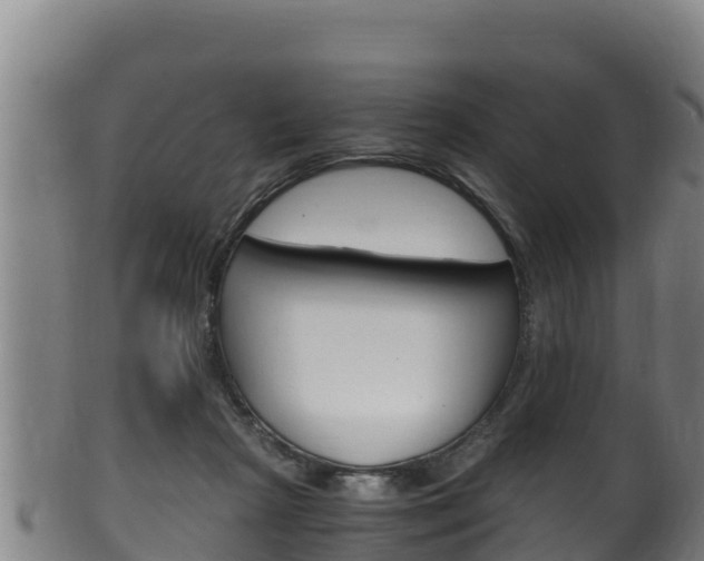X0000100380265200806060833
