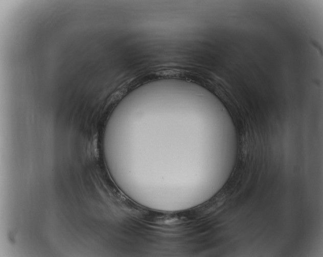 X0000100380267200806060833