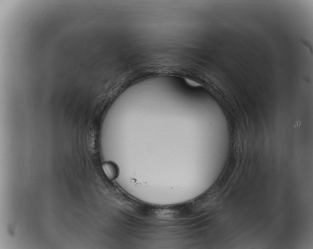 X0000100380268200806060833