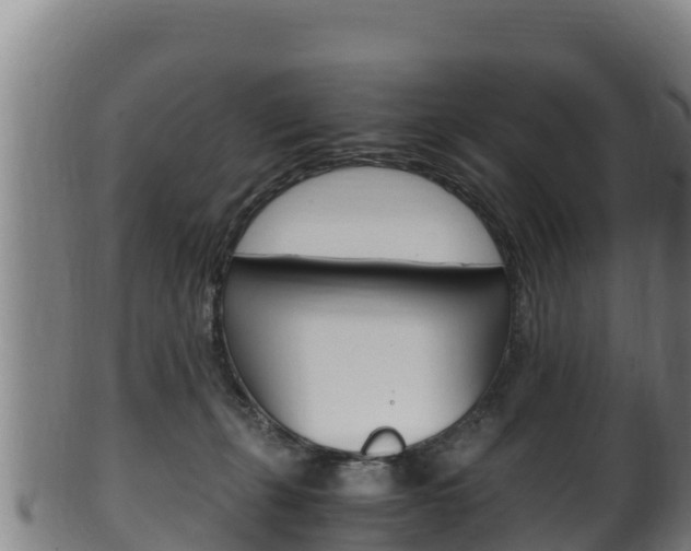 X0000100380271200806060833