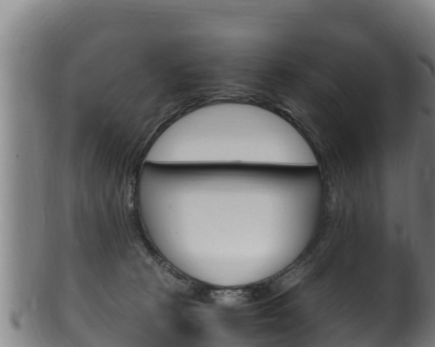 X0000100380273200806060833