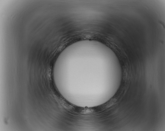 X0000100380274200806060833