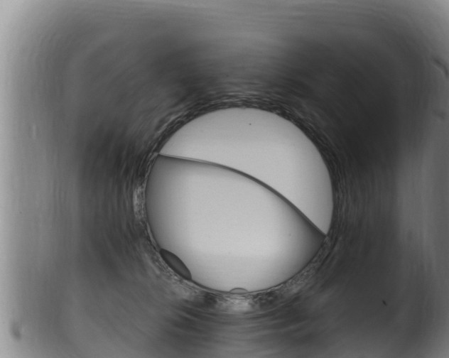 X0000100380276200806060833