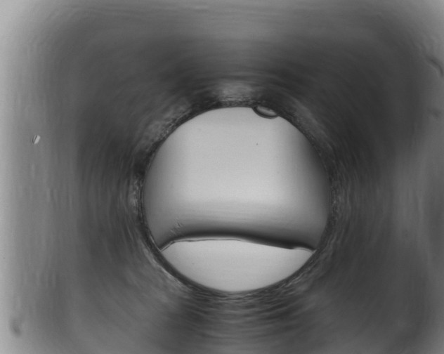 X0000100380277200806060833