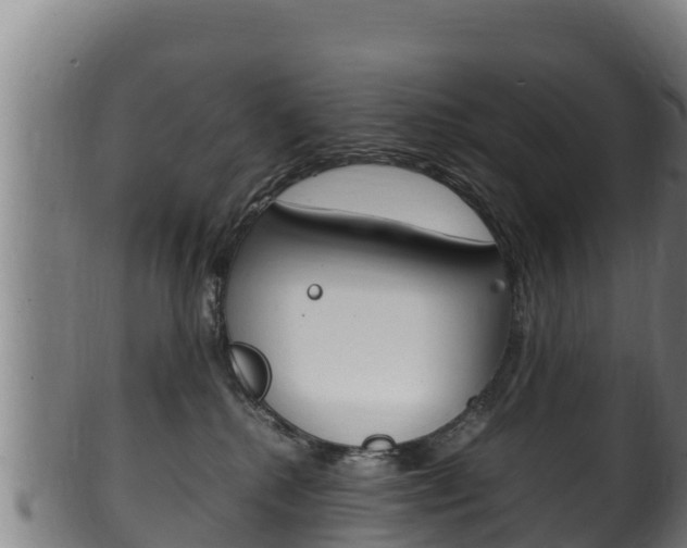 X0000100380280200806060833