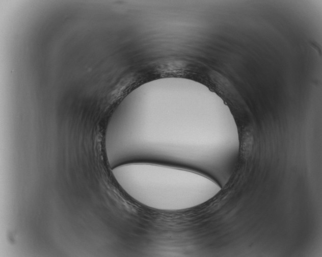X0000100380282200806060833