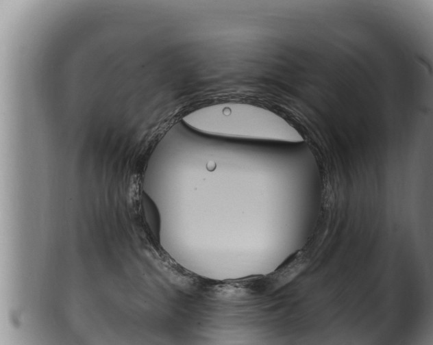 X0000100380284200806060833