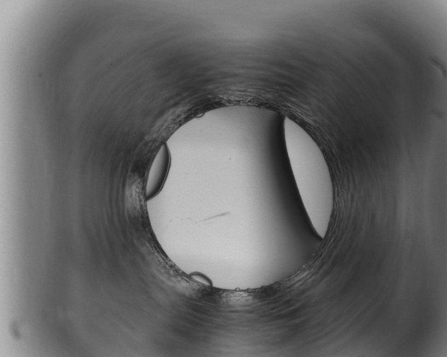 X0000100380287200806060834