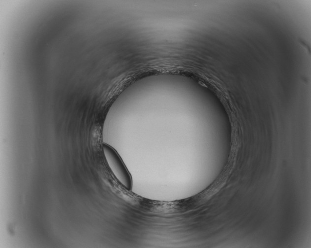 X0000100380288200806060834