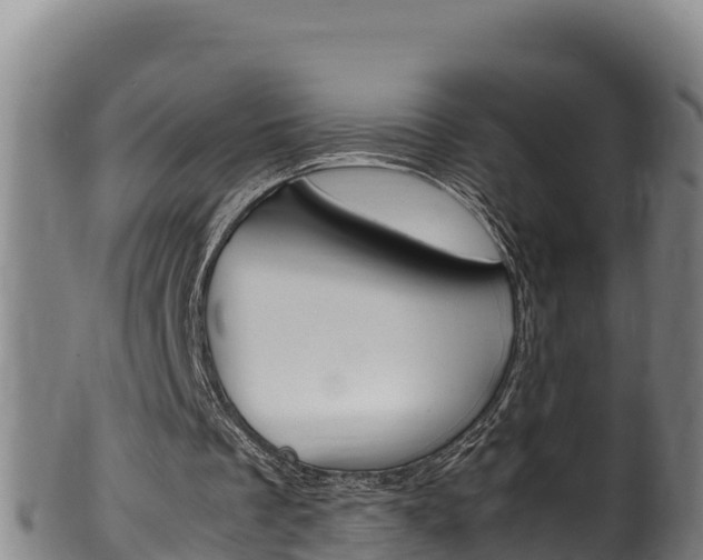 X0000100380289200806060833