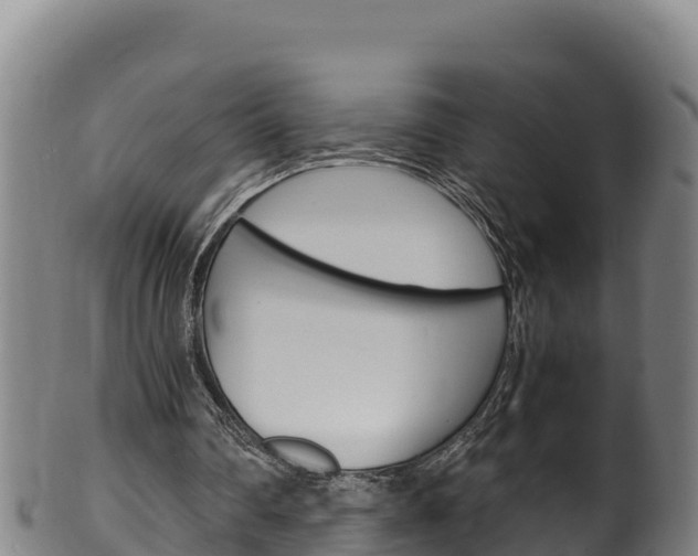 X0000100380290200806060833