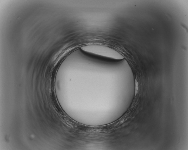 X0000100380291200806060833