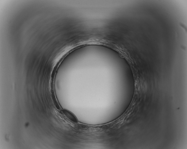X0000100380292200806060833