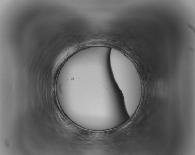 X0000100380293200806060833
