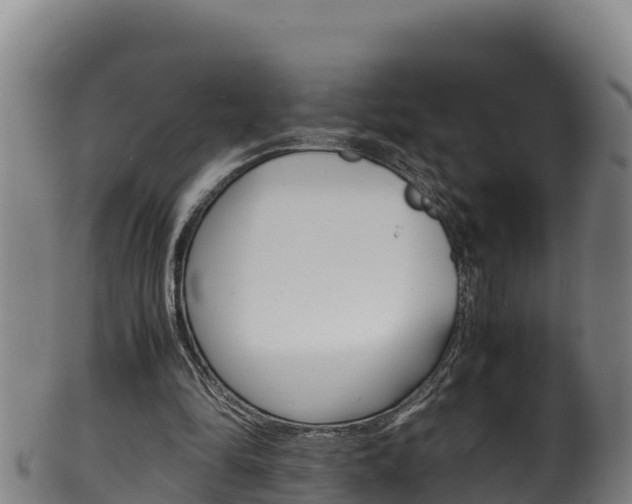 X0000100380294200806060833
