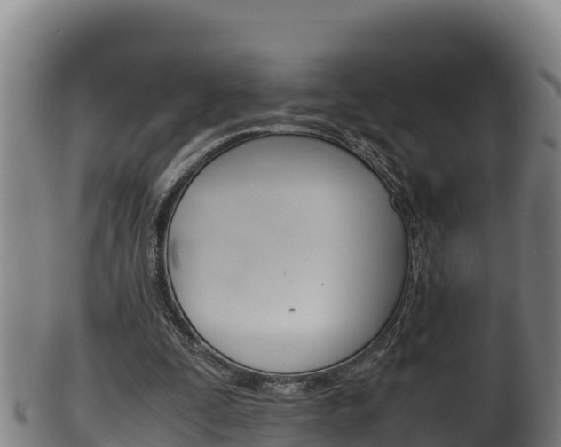 X0000100380295200806060833