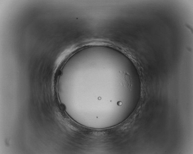X0000100380296200806060833