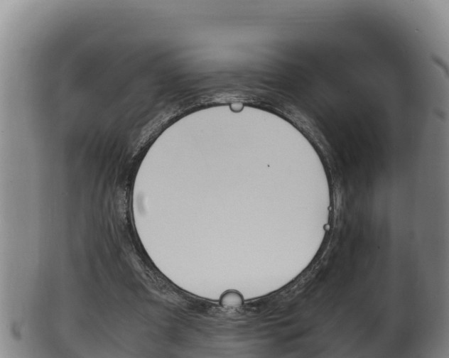X0000100380297200806060833
