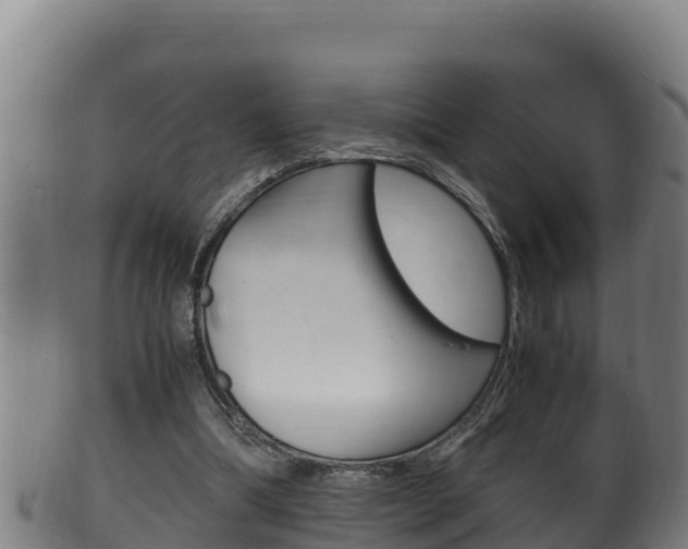X0000100380298200806060833