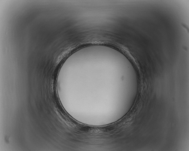 X0000100380299200806060833