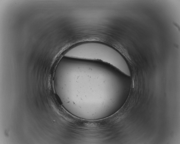 X0000100380300200806060833