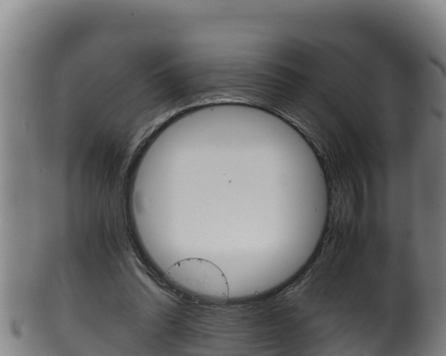 X0000100380302200806060833