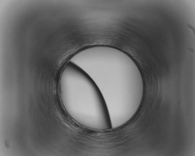 X0000100380303200806060833