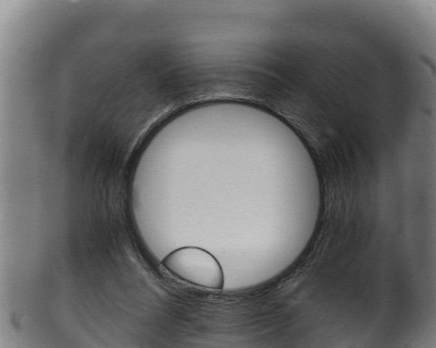 X0000100380304200806060833