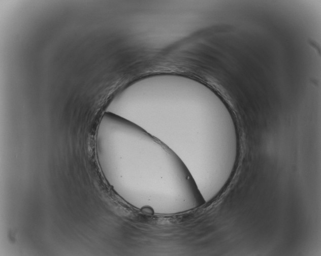 X0000100380305200806060833
