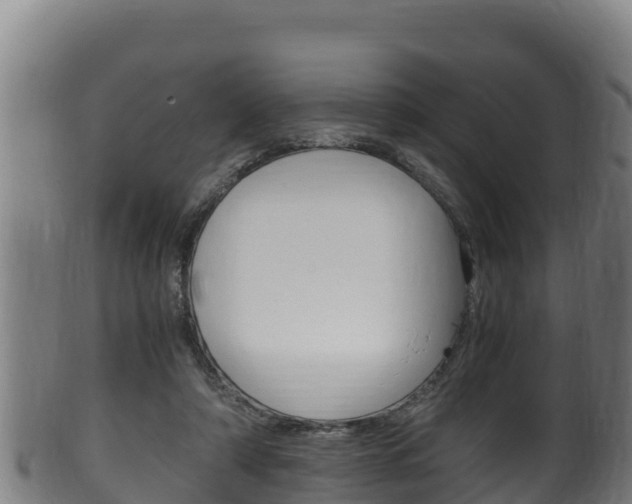 X0000100380306200806060833