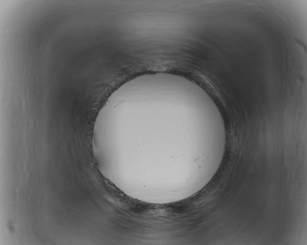 X0000100380307200806060833