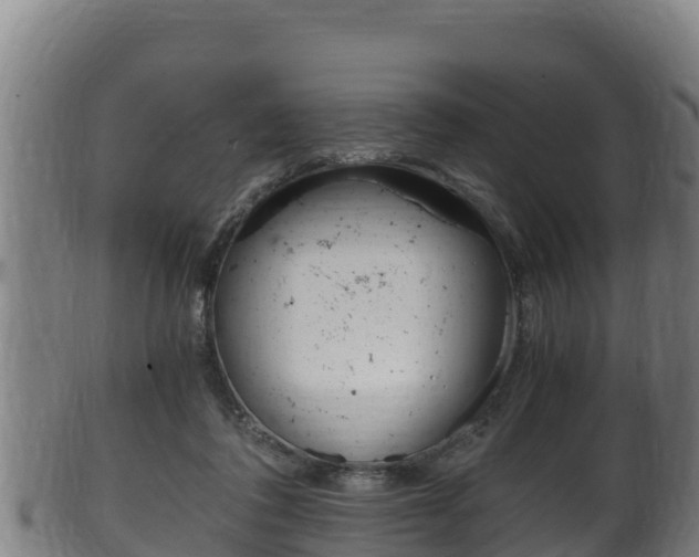 X0000100380308200806060833
