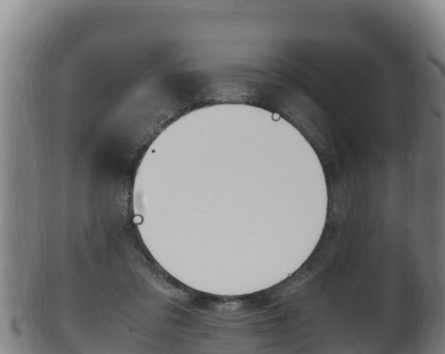 X0000100380309200806060833