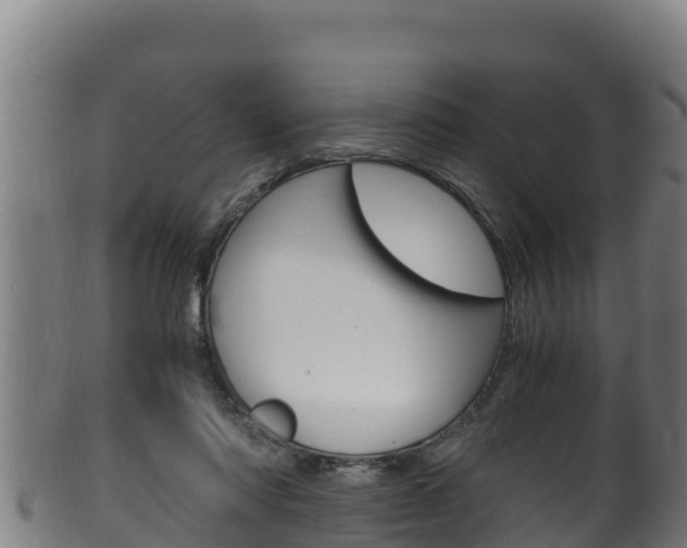 X0000100380310200806060833