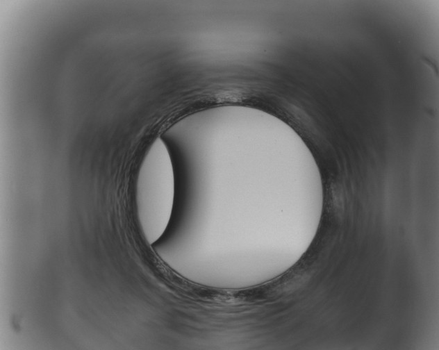 X0000100380311200806060833