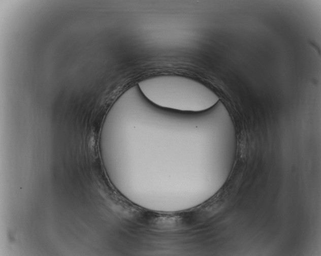 X0000100380314200806060832
