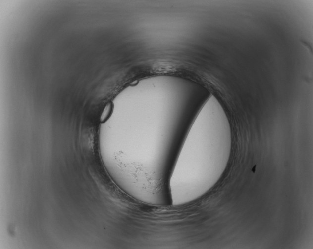 X0000100380315200806060832