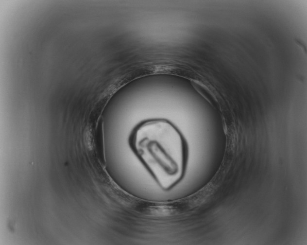 X0000100380316200806060832