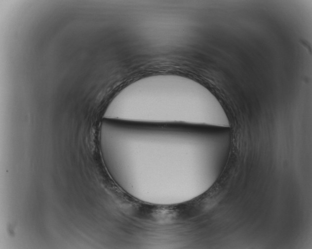 X0000100380319200806060832