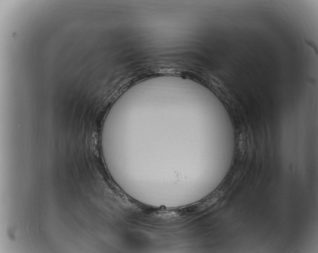 X0000100380322200806060832